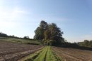 vers Bachicot
